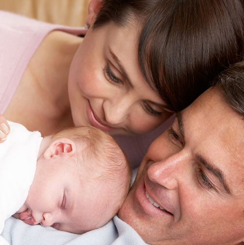 Texto alternativo para la portada actual.